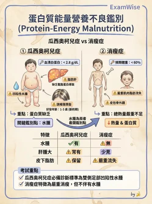 營養 - 生化指標與營養缺乏 - AI 圖文解析預覽