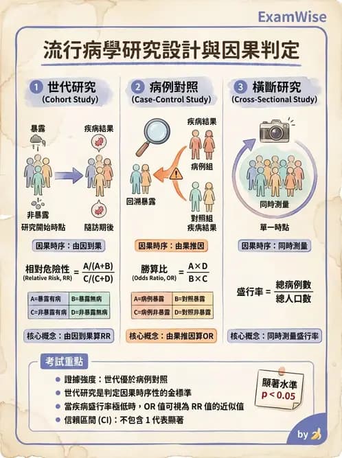 營養 - 流行病學與生物統計 - AI 圖文解析預覽