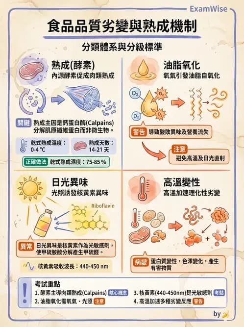 營養 - 食品腐敗微生物學 - AI 圖文解析預覽