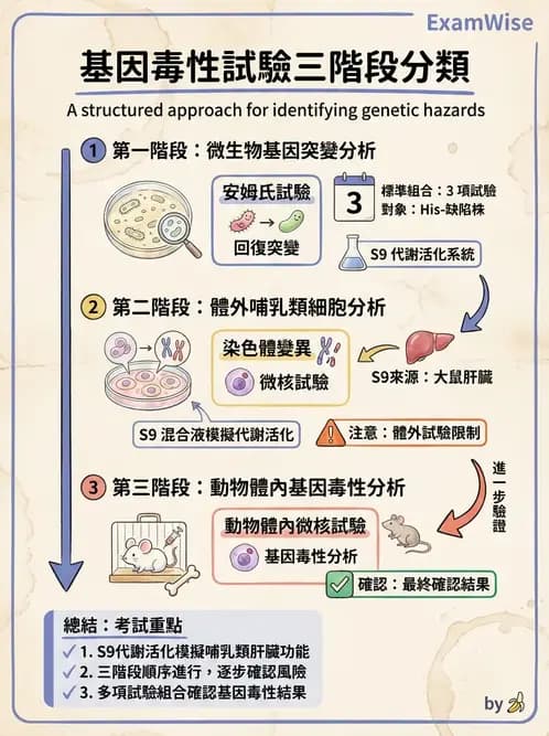 營養 - 食品安全性評估 - AI 圖文解析預覽