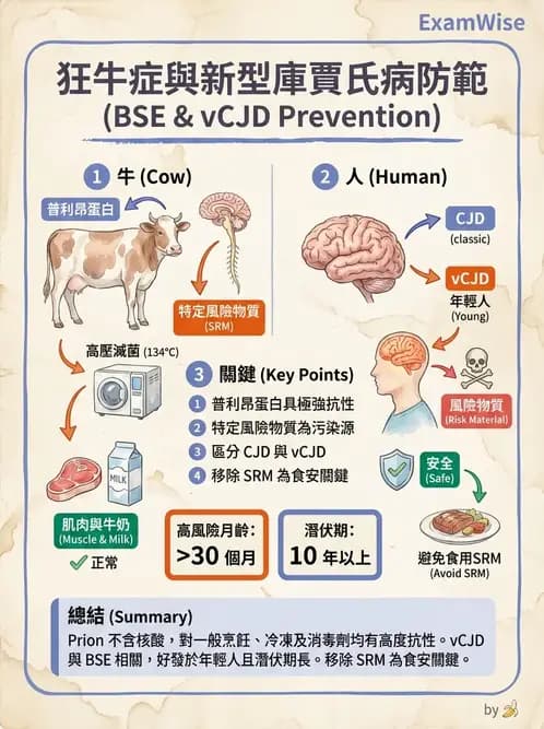 營養 - 生物性污染與寄生蟲 - AI 圖文解析預覽