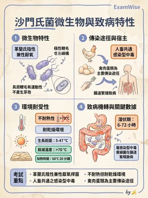 營養 - 食源性病原微生物 - AI 圖文解析預覽