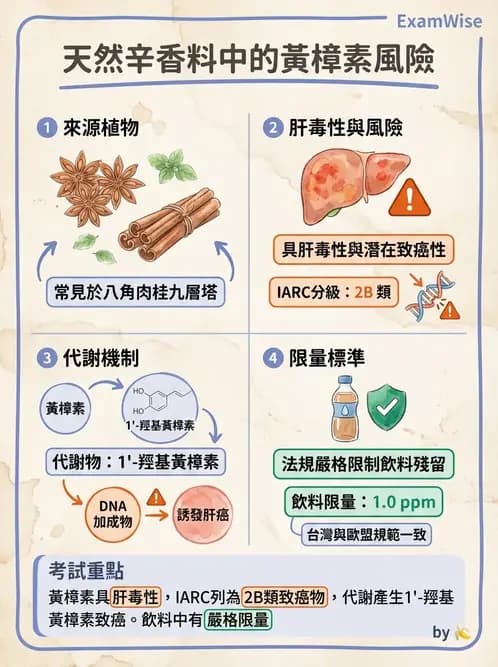 營養 - 天然毒素 - AI 圖文解析預覽