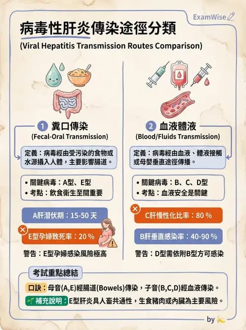 營養 - 食源性病原微生物 - AI 圖文解析預覽