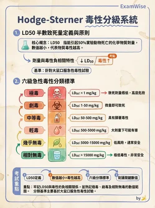 營養 - 食品安全性評估 - AI 圖文解析預覽