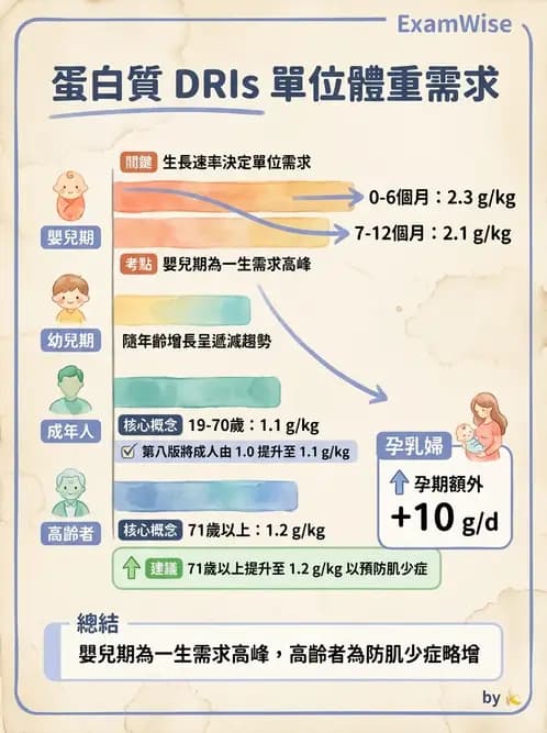 營養 - 蛋白質結構、功能與需求量 - AI 圖文解析預覽