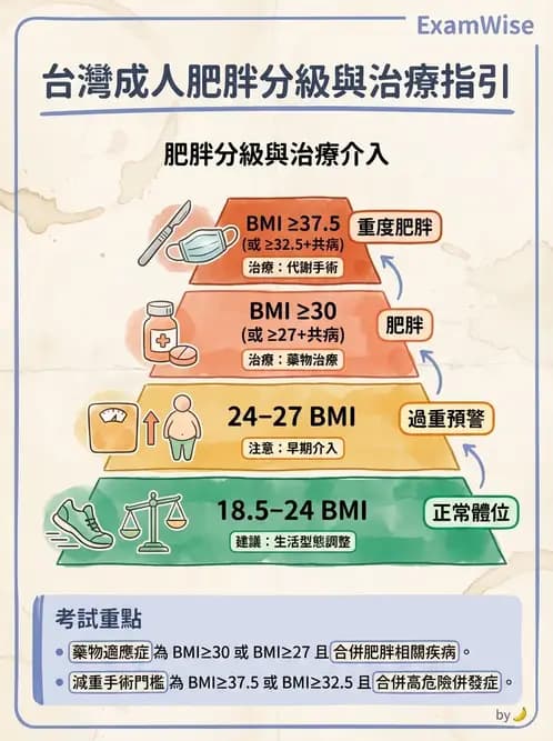 營養 - 能量平衡與食慾控制 - AI 圖文解析預覽