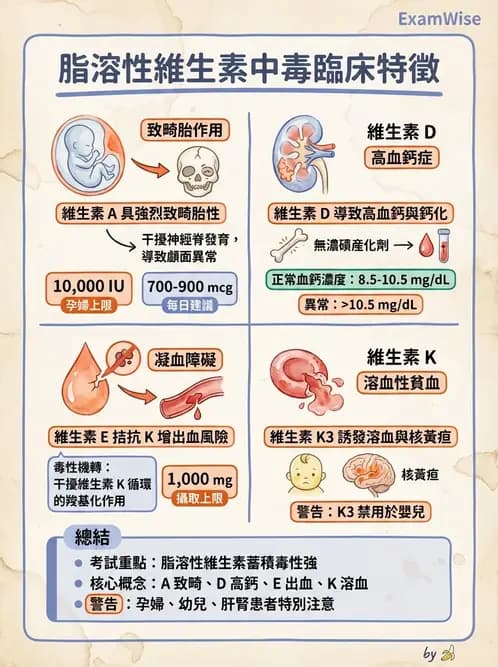 營養 - 維生素A - AI 圖文解析預覽