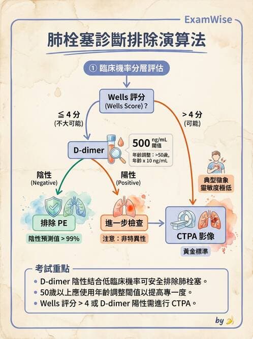 專師 - 肺栓塞與其他肺疾 - AI 圖文解析預覽