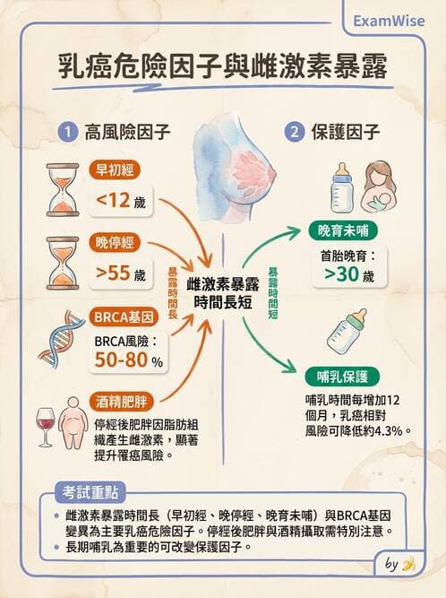 專師 - 乳房外科 - AI 圖文解析預覽