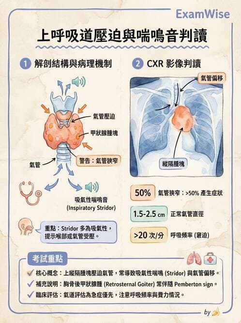 專師 - 頭頸腫瘤與甲狀腺 - AI 圖文解析預覽