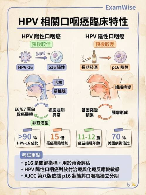 專師 - 頭頸腫瘤與甲狀腺 - AI 圖文解析預覽