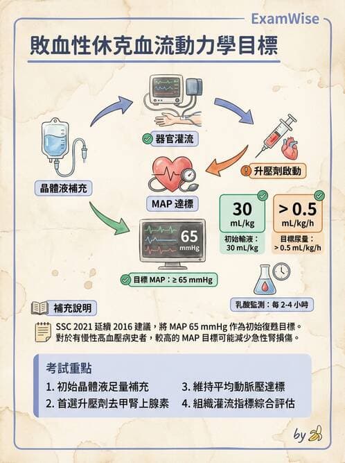 專師 - 敗血症治療與復甦指引 - AI 圖文解析預覽