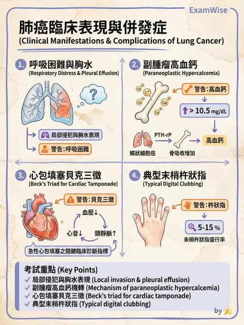 專師 - 胸腔外科 - AI 圖文解析預覽