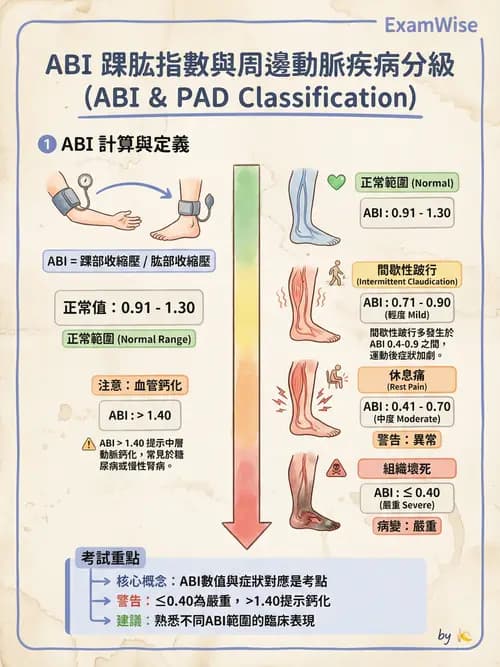 專師 - 周邊血管與靜脈疾病 - AI 圖文解析預覽
