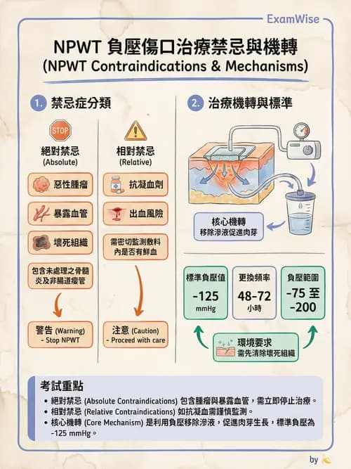 專師 - 皮膚移植與疤痕 - AI 圖文解析預覽