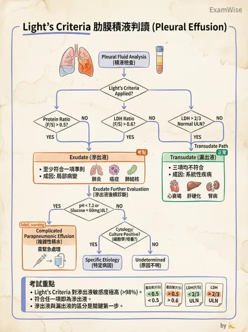 專師 - 肋膜疾病 - AI 圖文解析預覽