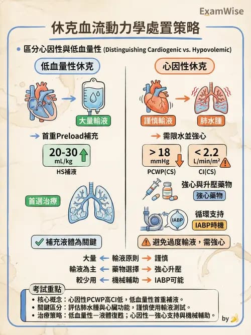 專師 - 心臟外科與介入 - AI 圖文解析預覽