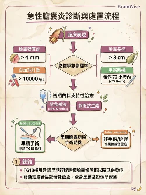 專師 - 膽道與胰臟 - AI 圖文解析預覽