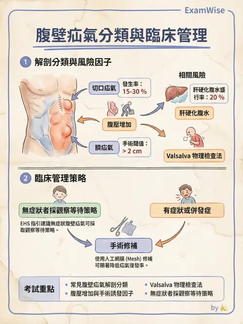 專師 - 疝氣與急腹症 - AI 圖文解析預覽