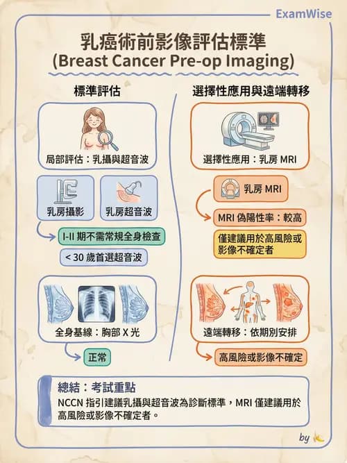 專師 - 乳房外科 - AI 圖文解析預覽
