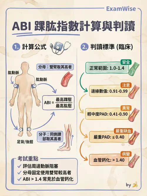 專師 - 周邊血管與靜脈疾病 - AI 圖文解析預覽