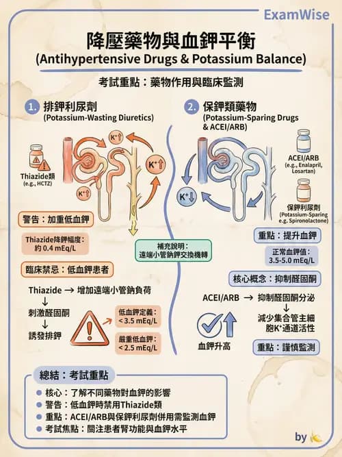 專師 - 心臟外科與介入 - AI 圖文解析預覽