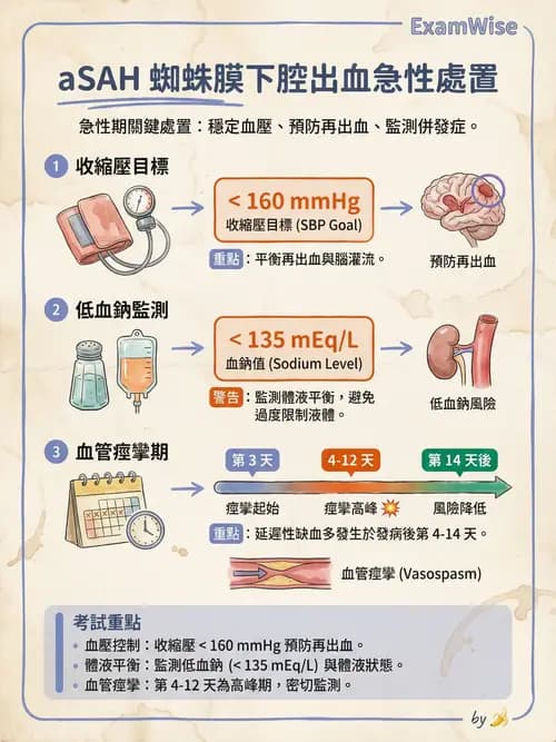 專師 - 蜘蛛膜下腔出血與腦腫瘤 - AI 圖文解析預覽