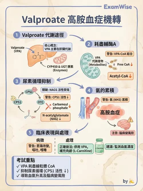 專師 - 神經退化與免疫疾病 - AI 圖文解析預覽