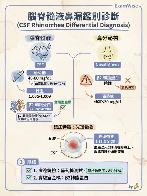 專師 - 頭部外傷與顱內壓 - AI 圖文解析預覽
