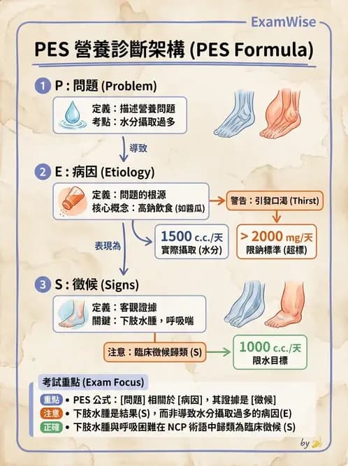 營養 - 營養評估與照護程序 - AI 圖文解析預覽