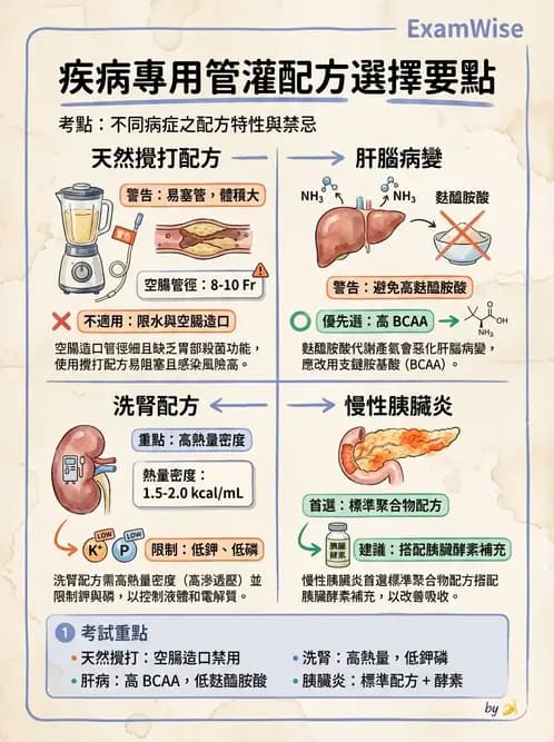 營養 - 營養支持 - AI 圖文解析預覽