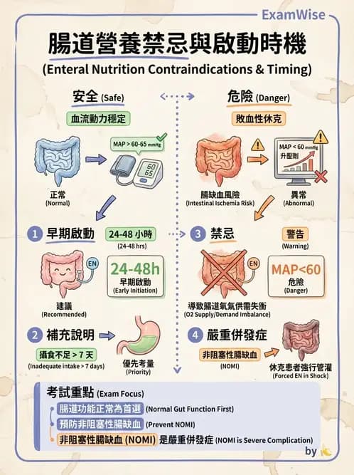 營養 - 營養支持 - AI 圖文解析預覽