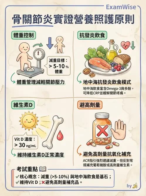 營養 - 骨骼與關節疾病 - AI 圖文解析預覽