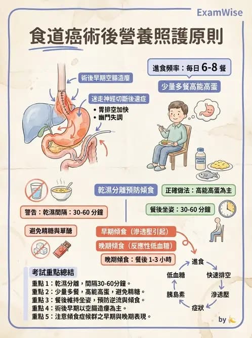 營養 - 燒燙傷與外傷重症營養 - AI 圖文解析預覽