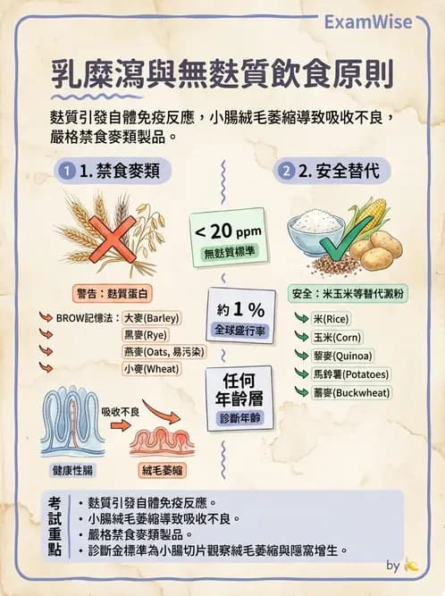 營養 - 腸胃道疾病 - AI 圖文解析預覽
