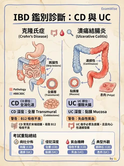 營養 - 腸胃道疾病 - AI 圖文解析預覽