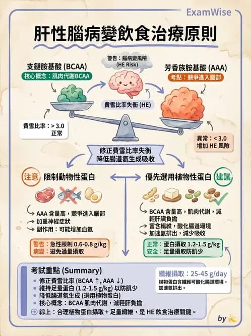 營養 - 肝膽疾病 - AI 圖文解析預覽