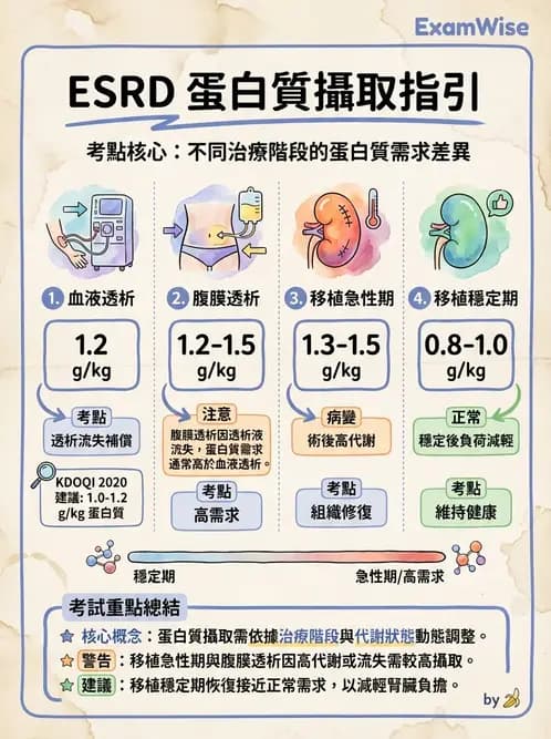 營養 - 透析治療飲食管理 - AI 圖文解析預覽