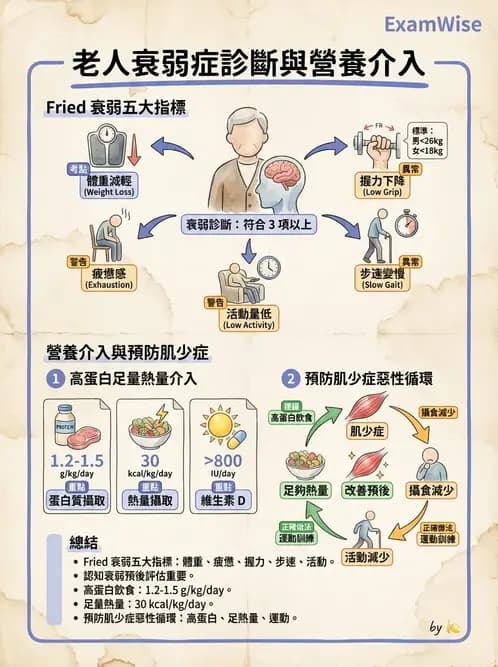營養 - 老人營養與長期照護 - AI 圖文解析預覽