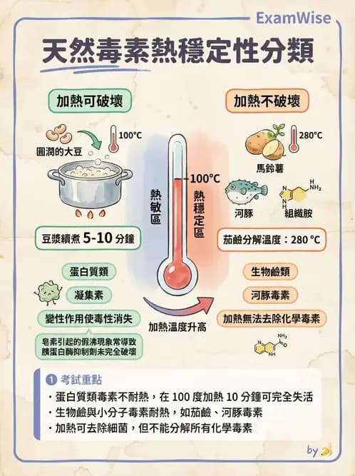 營養 - 食品安全衛生管理 - AI 圖文解析預覽