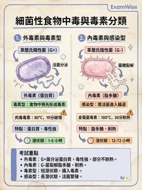 營養 - 食品安全衛生管理 - AI 圖文解析預覽