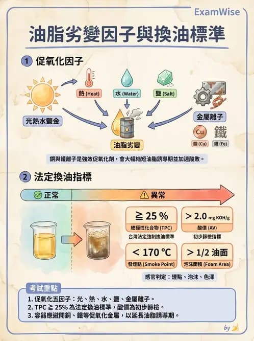 營養 - 烹調技法、油脂品質與供應管理 - AI 圖文解析預覽