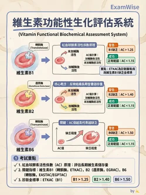 營養 - 生化指標與營養缺乏 - AI 圖文解析預覽