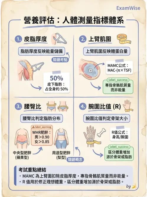營養 - 體位評估 - AI 圖文解析預覽