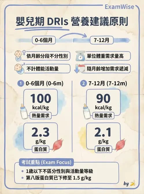 營養 - DRIs與飲食指南 - AI 圖文解析預覽