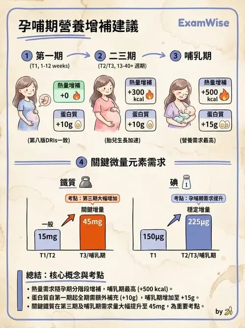 營養 - DRIs與飲食指南 - AI 圖文解析預覽