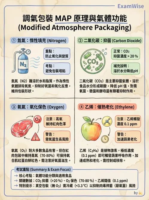 營養 - 食品腐敗微生物學 - AI 圖文解析預覽