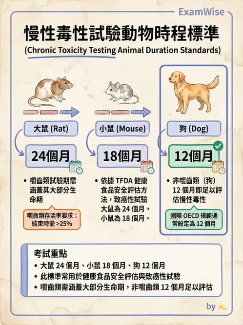 營養 - 食品安全性評估 - AI 圖文解析預覽