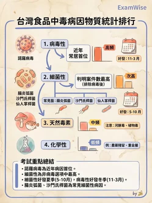 營養 - 食品腐敗微生物學 - AI 圖文解析預覽
